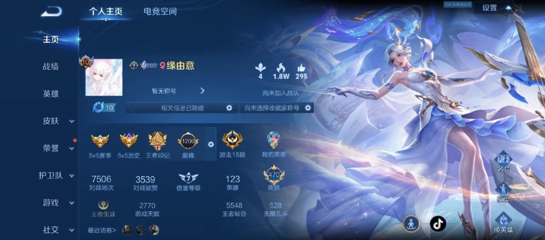 王者荣耀陪玩服务