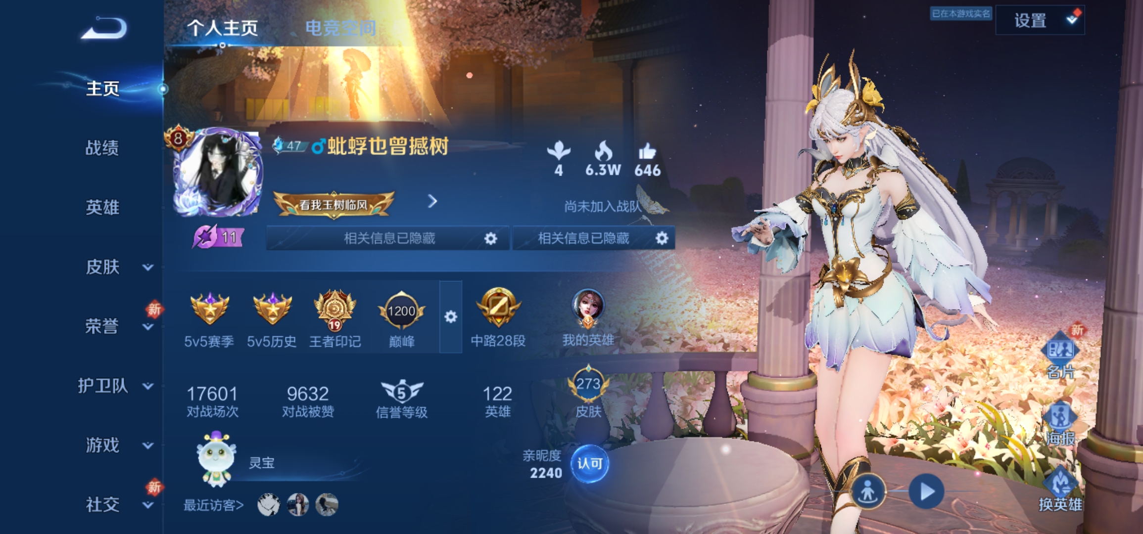 王者荣耀陪玩服务