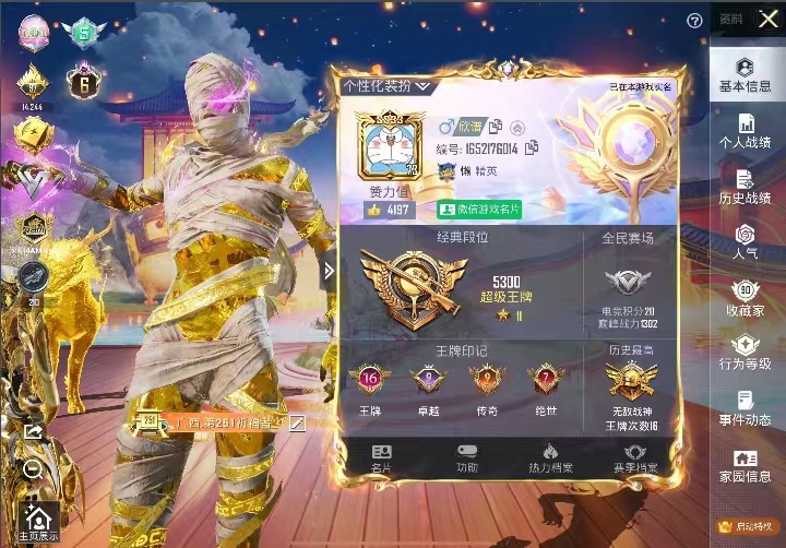 和平精英陪玩服务