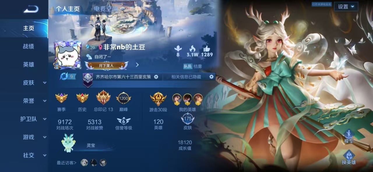 王者荣耀陪玩服务
