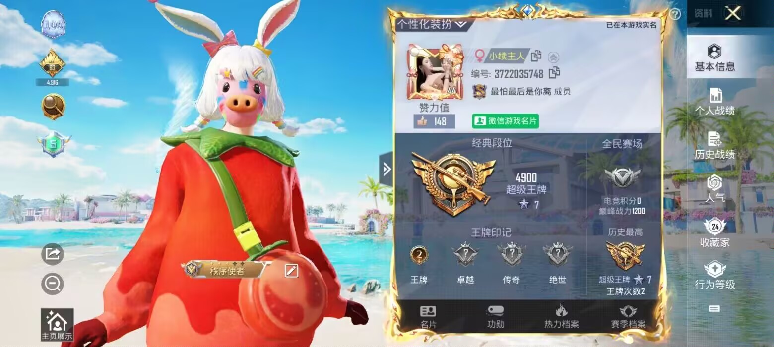 和平精英陪玩服务