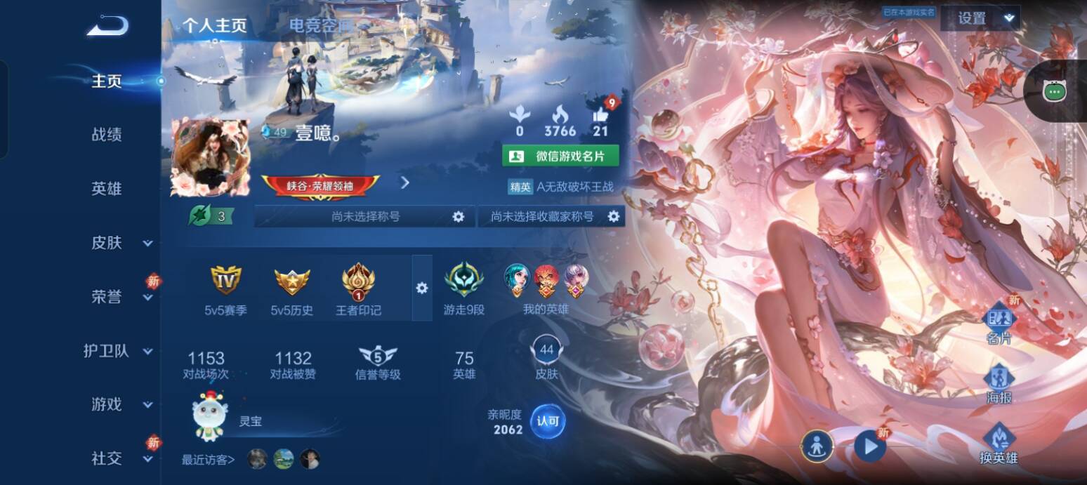 王者荣耀陪玩服务