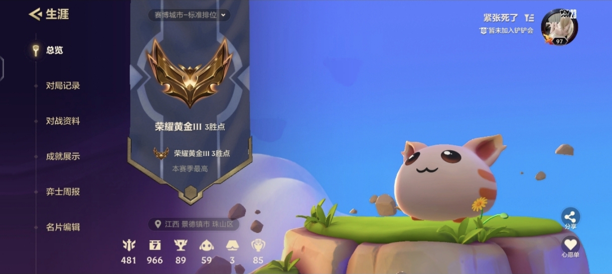金铲铲之战陪玩服务
