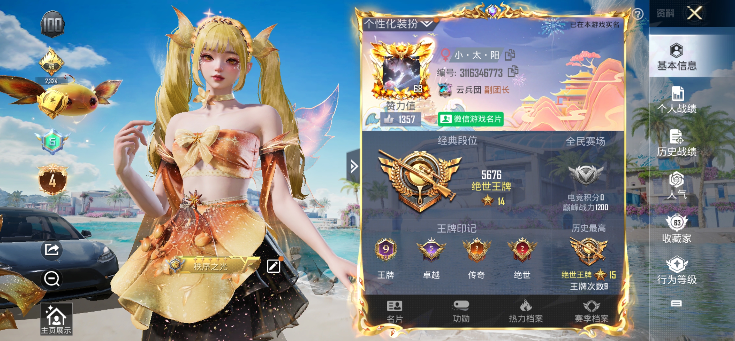 和平精英陪玩服务
