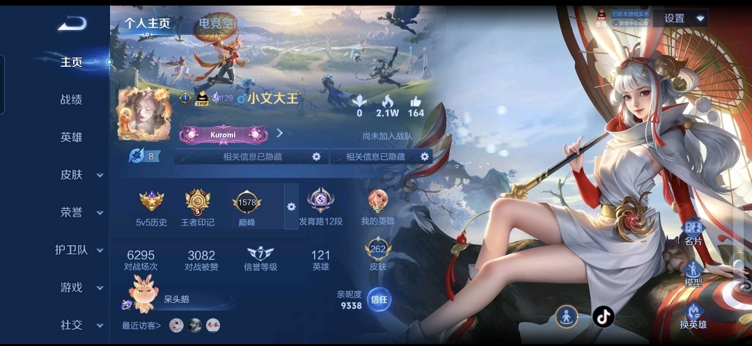 王者荣耀陪玩服务