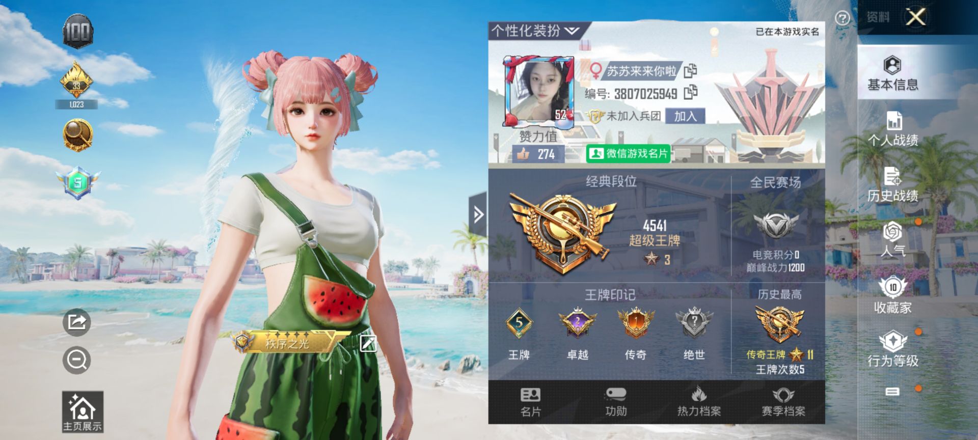和平精英陪玩服务