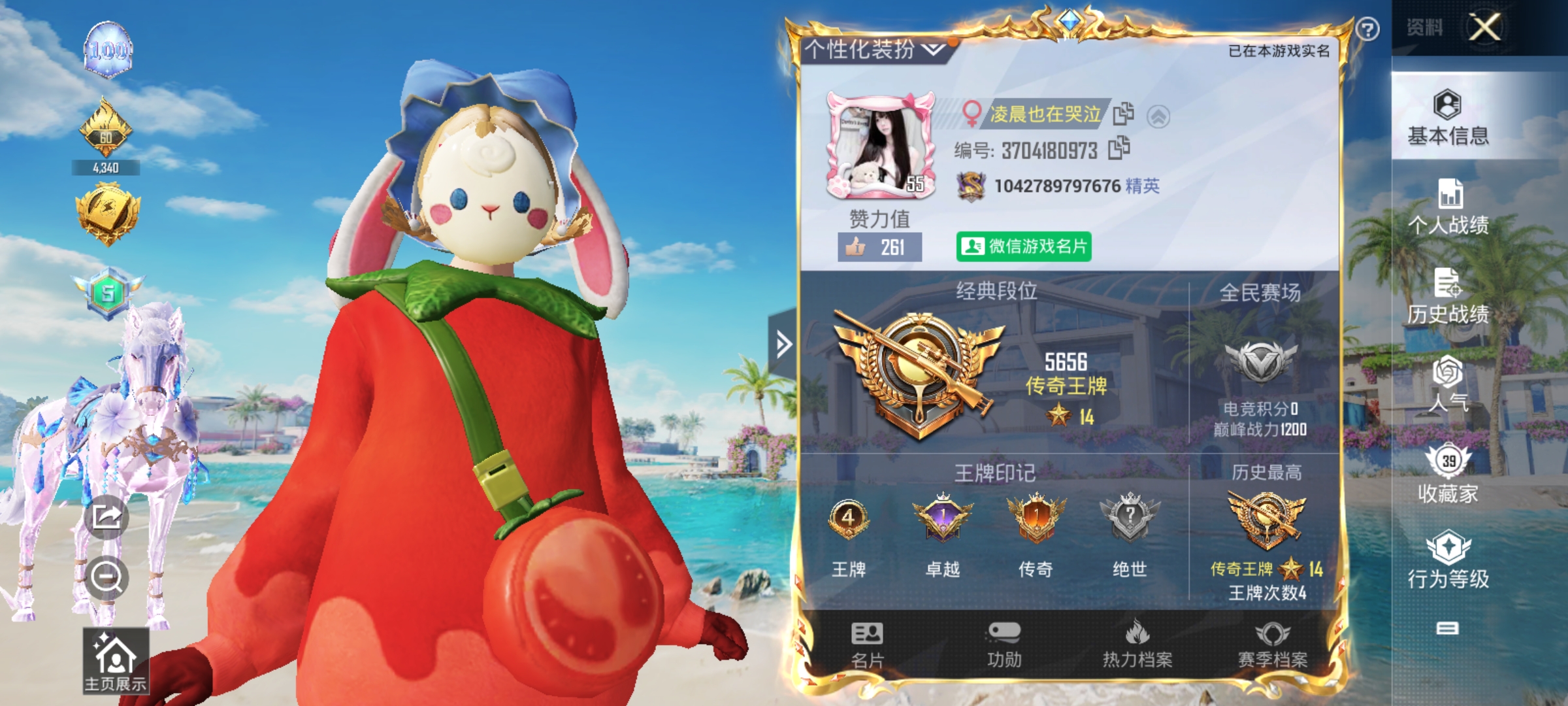 和平精英陪玩服务