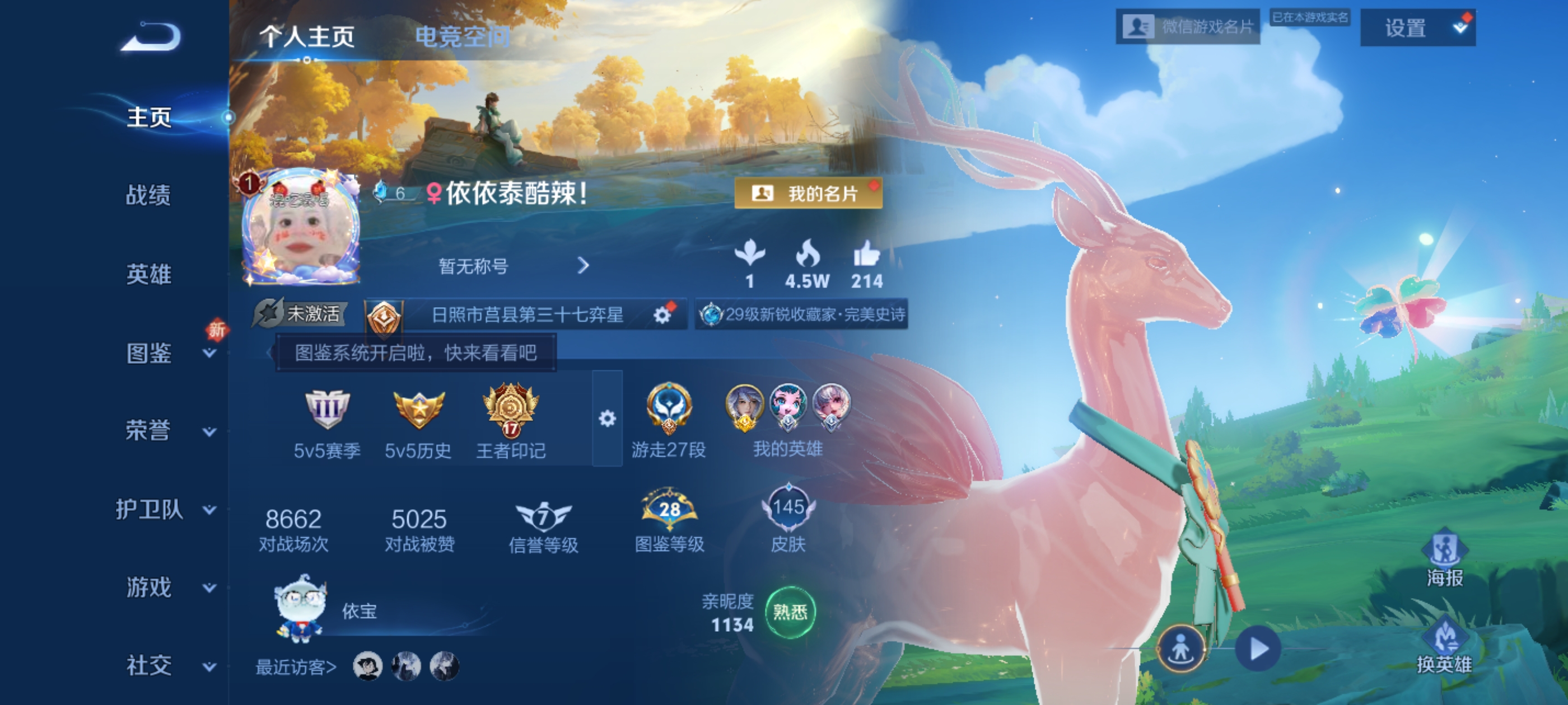 王者荣耀陪玩服务