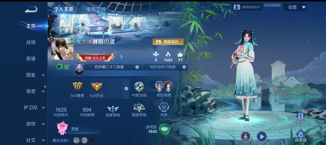 王者荣耀陪玩服务