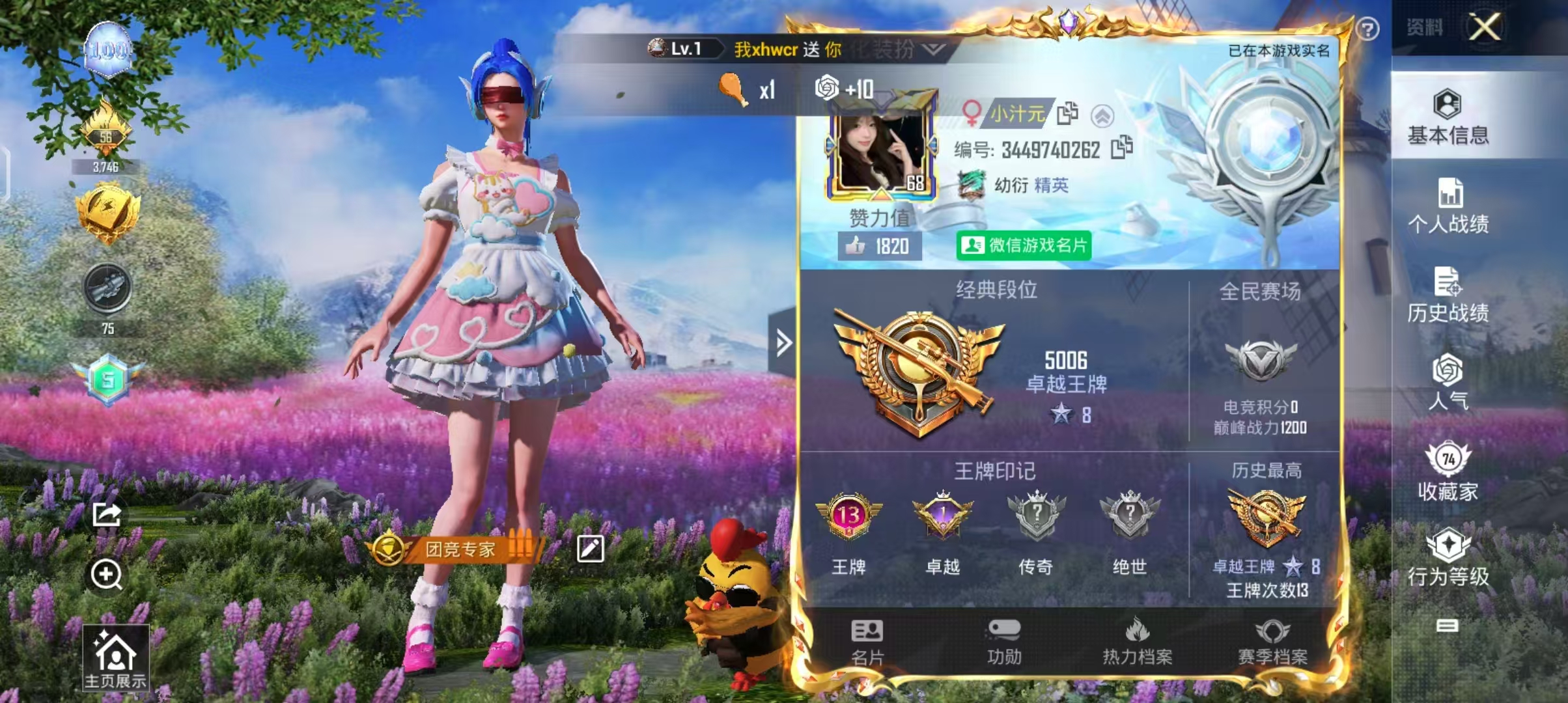 和平精英陪玩服务