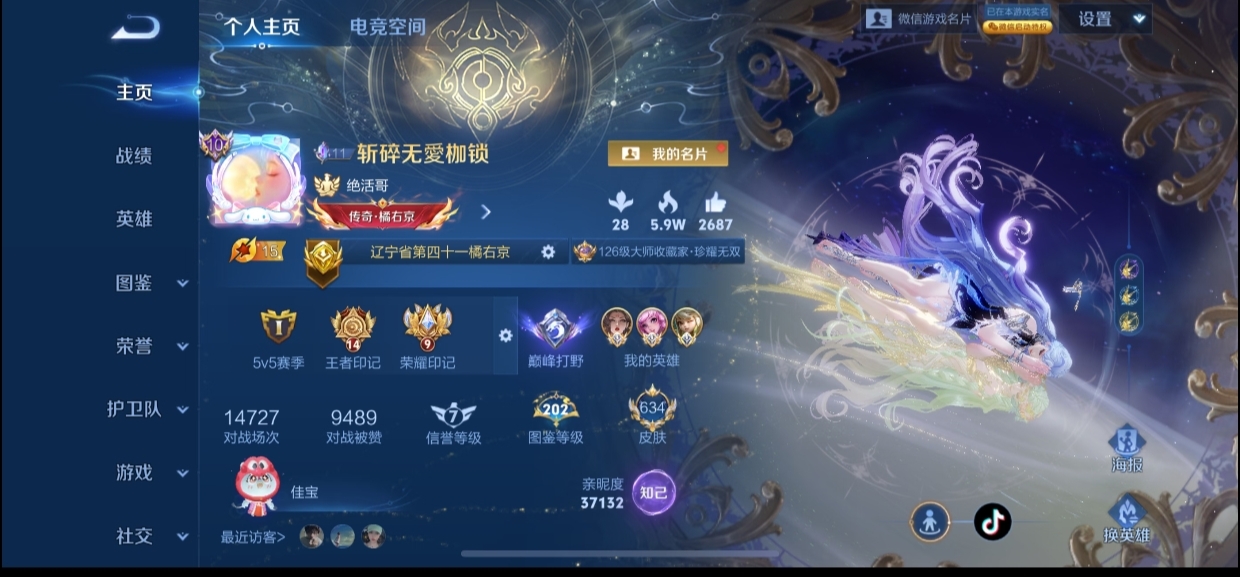 王者荣耀陪玩服务