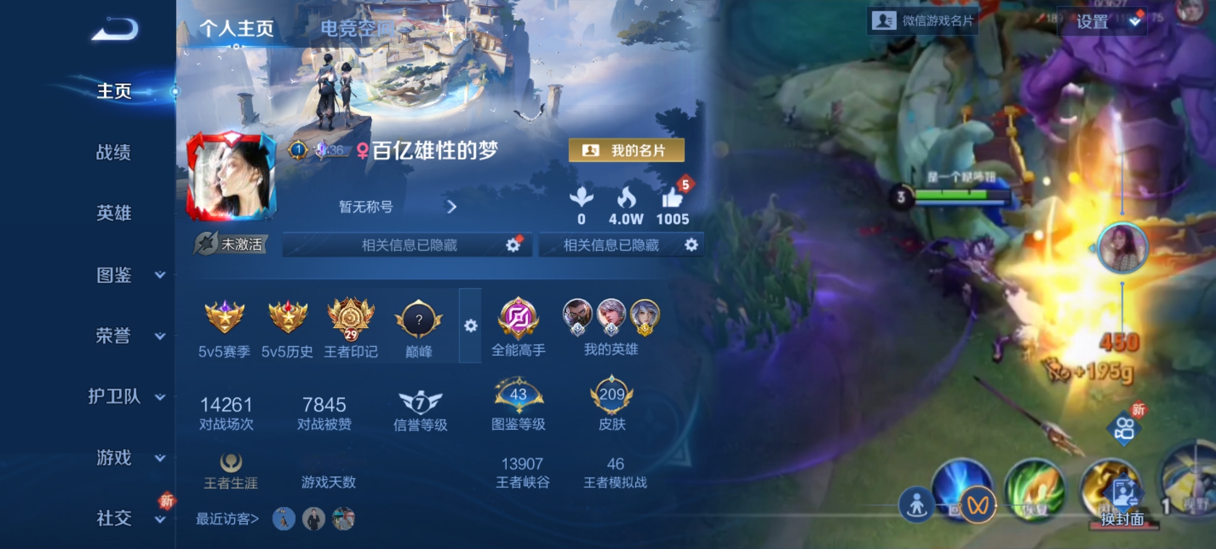 王者荣耀陪玩服务