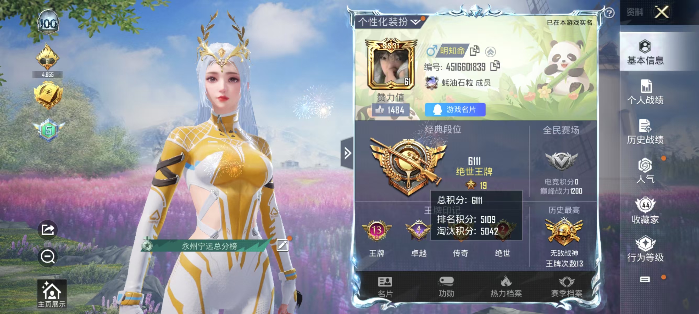 和平精英陪玩服务