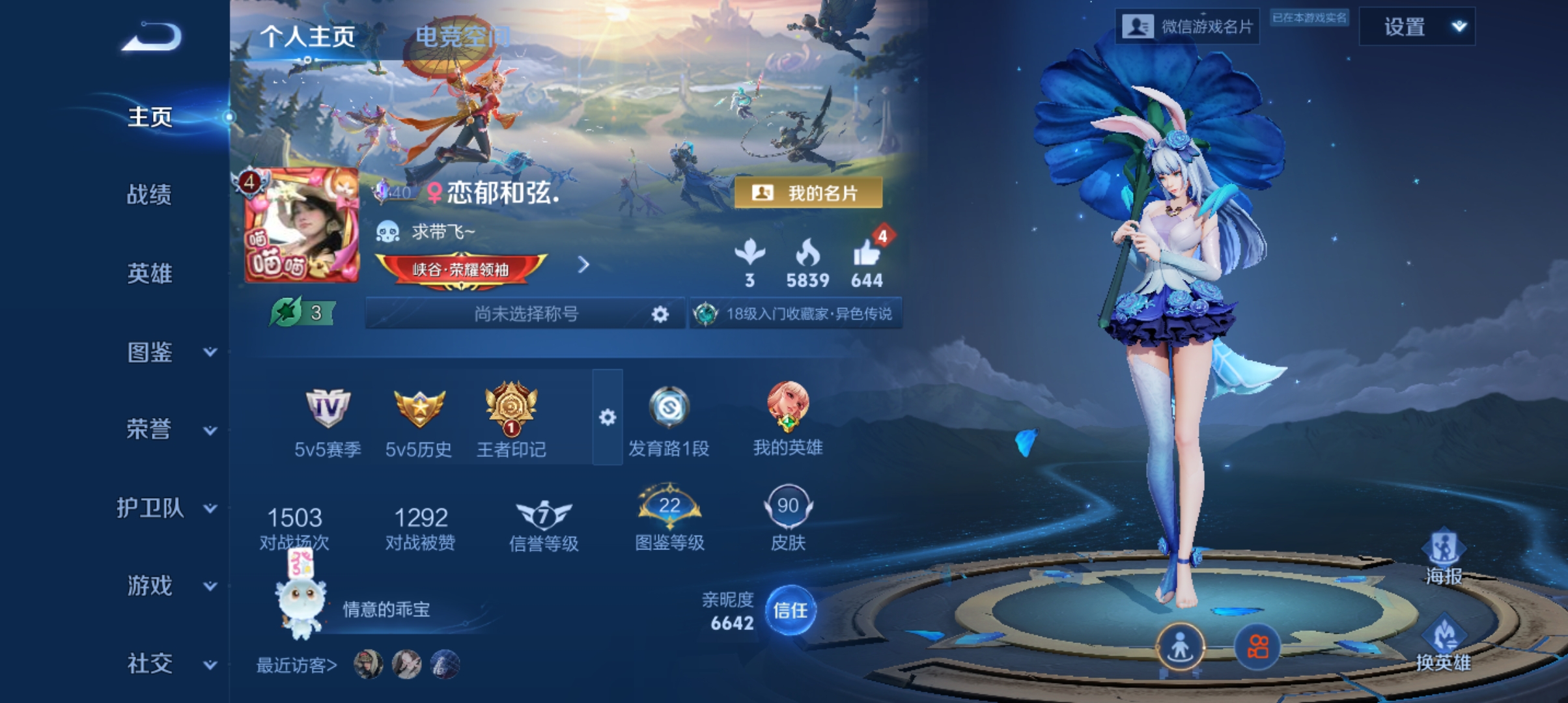 王者荣耀陪玩服务