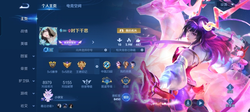 王者荣耀陪玩服务