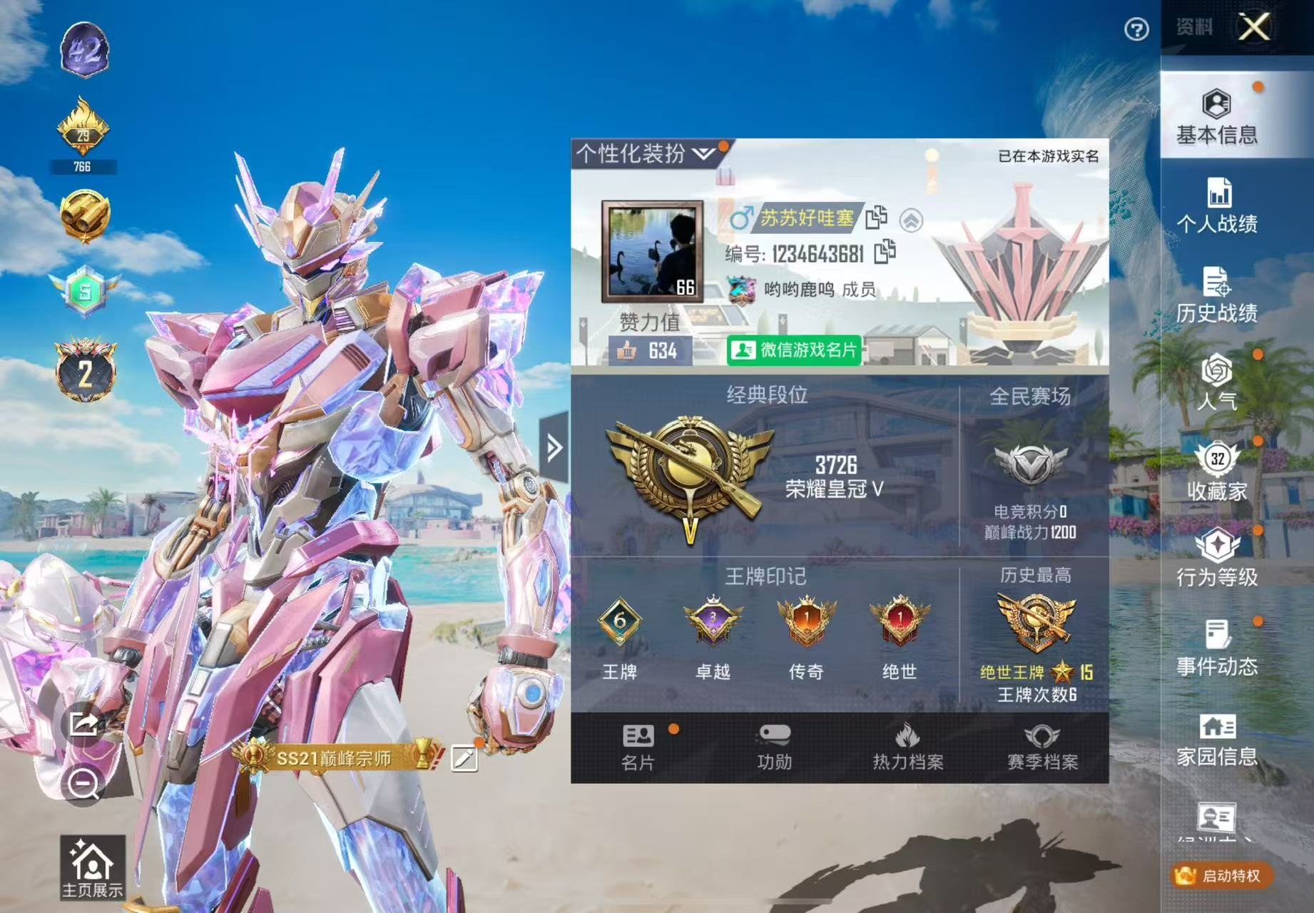 和平精英陪玩服务
