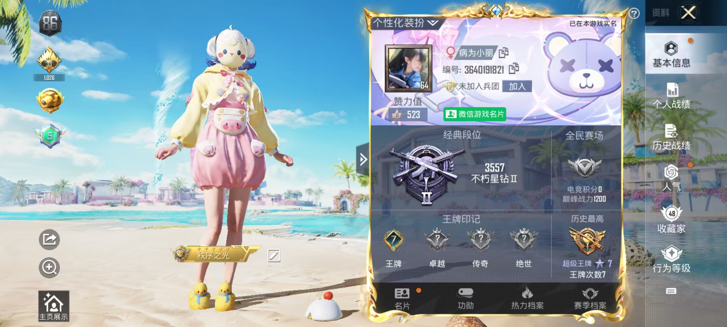 和平精英陪玩服务