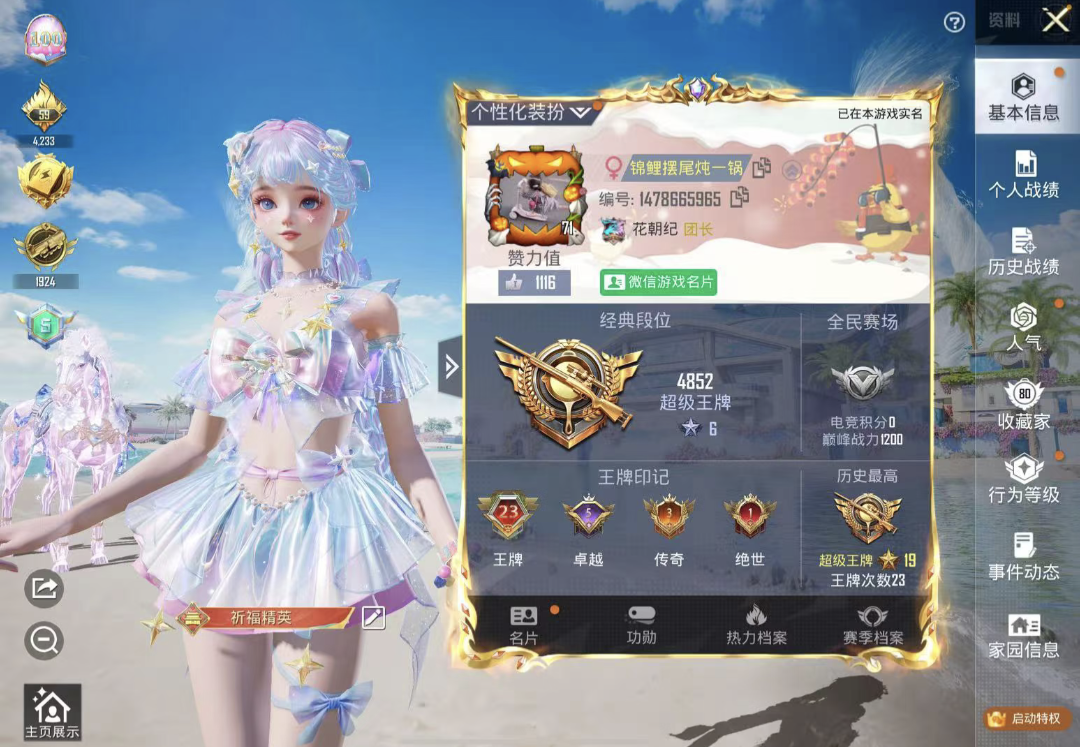 和平精英陪玩服务