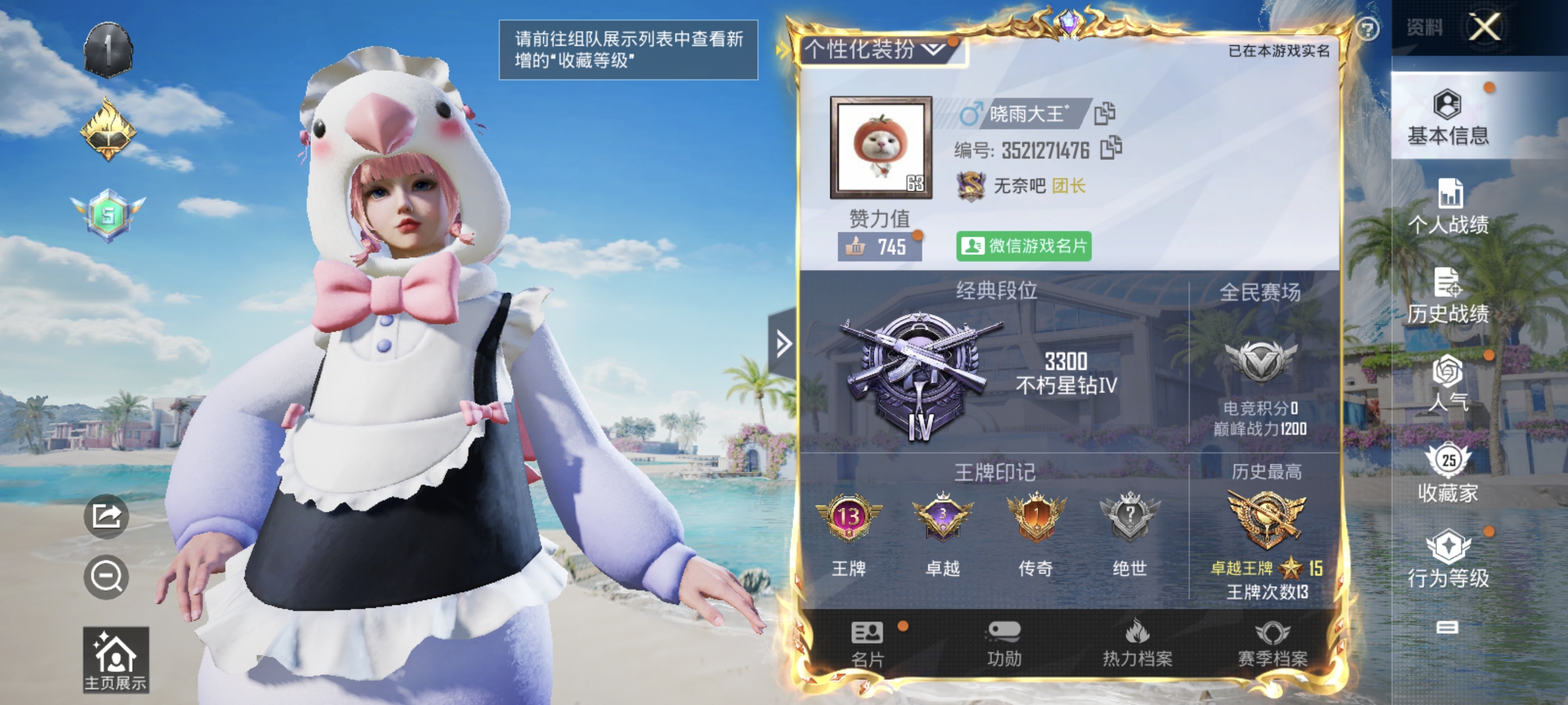 和平精英陪玩服务