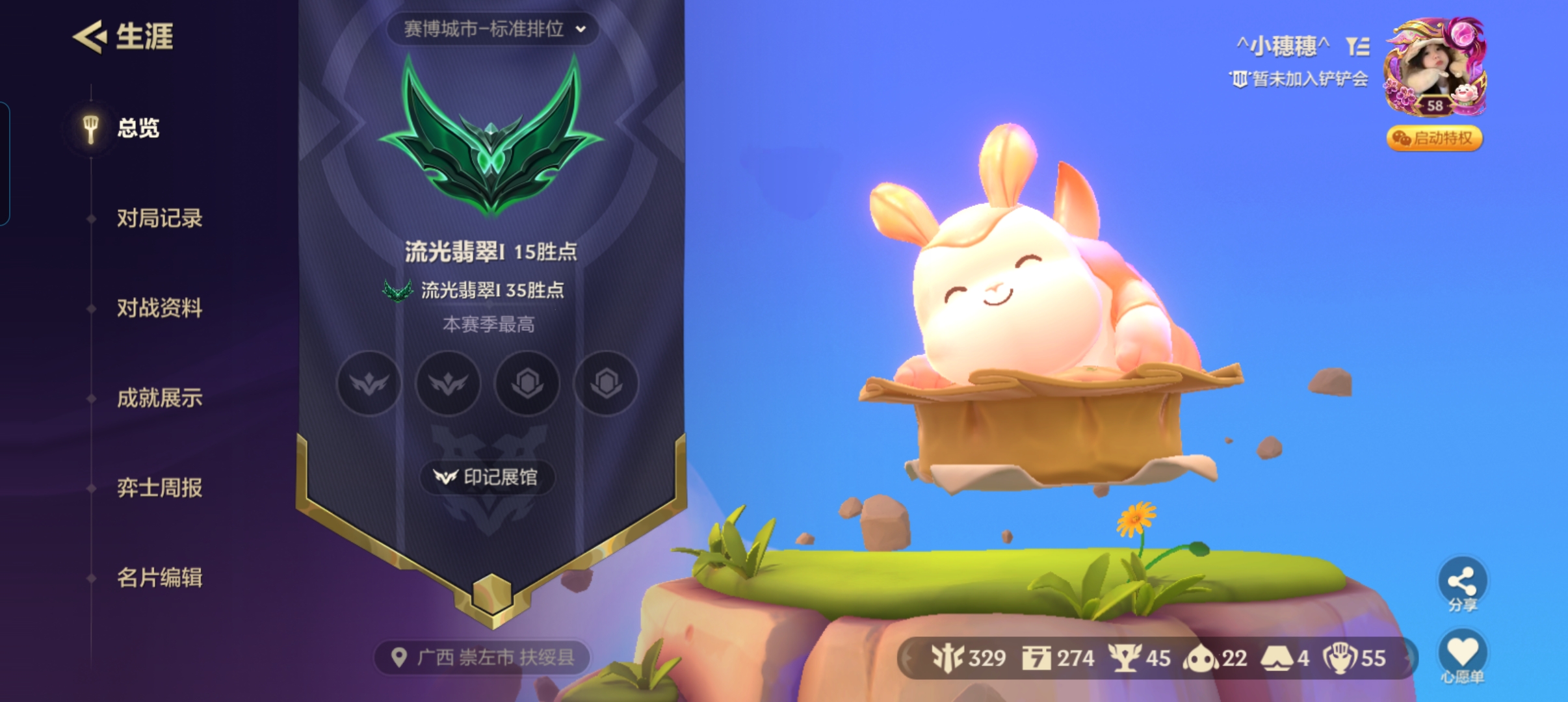 金铲铲之战陪玩服务