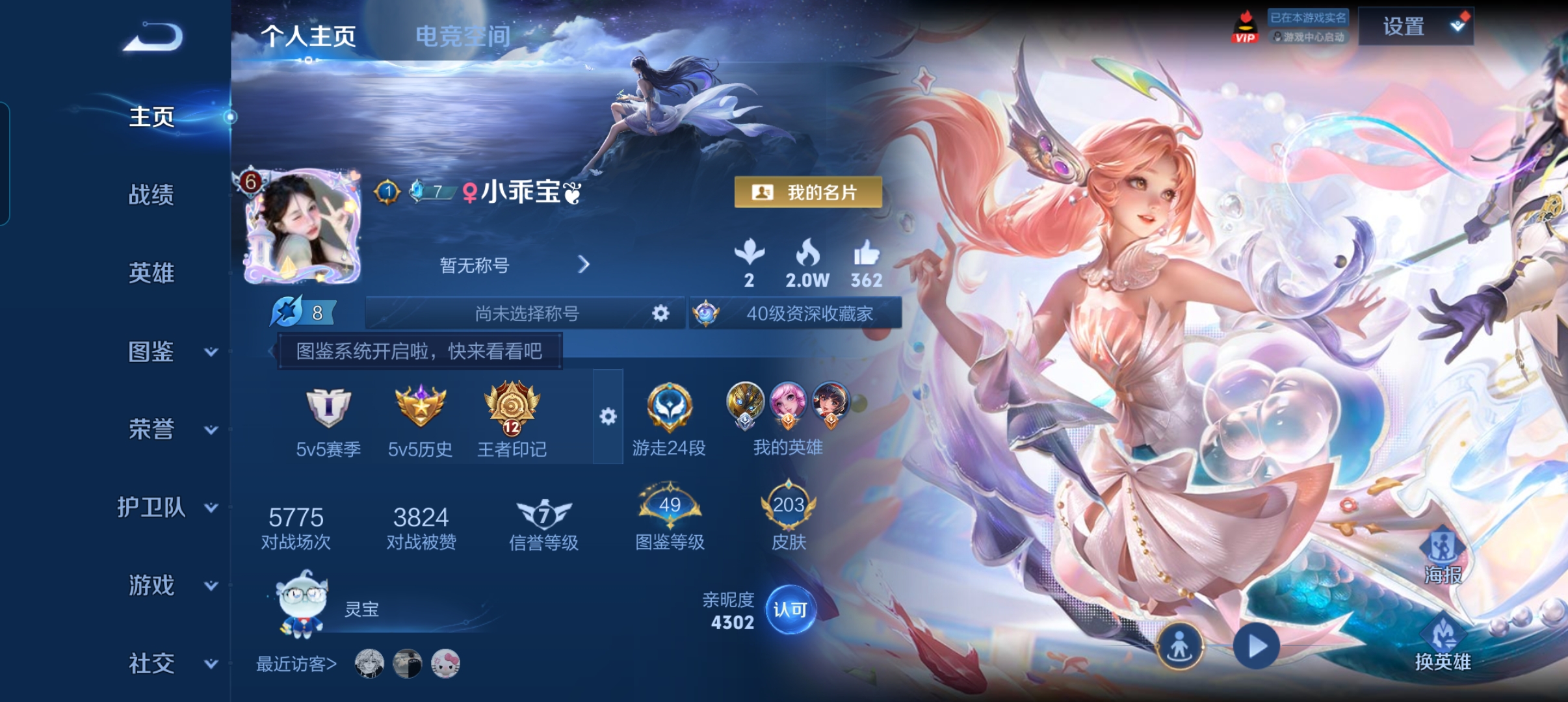 王者荣耀陪玩服务