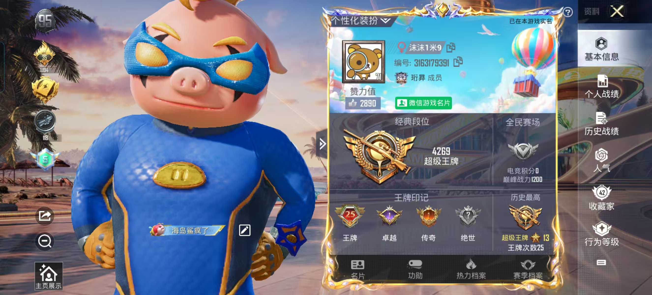 和平精英陪玩服务
