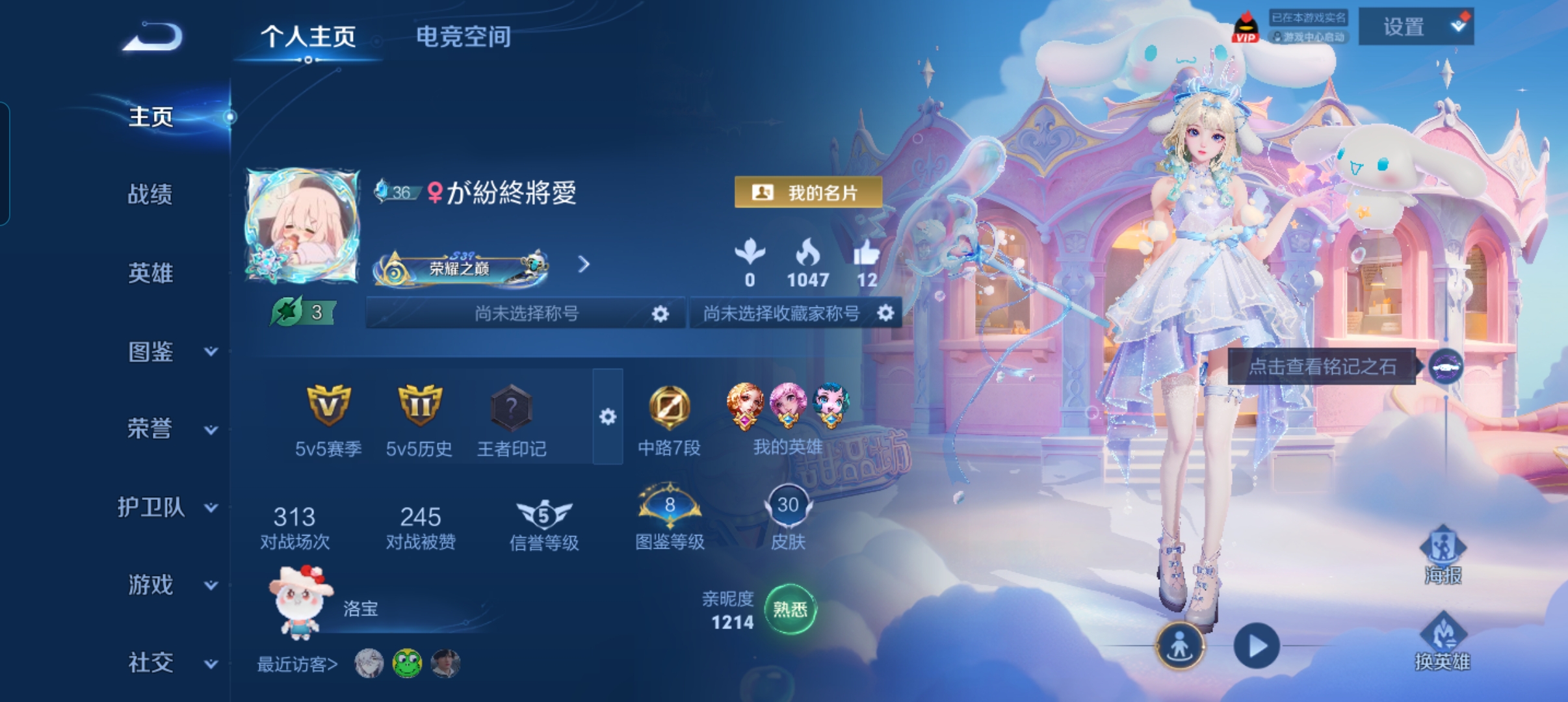 王者荣耀陪玩服务