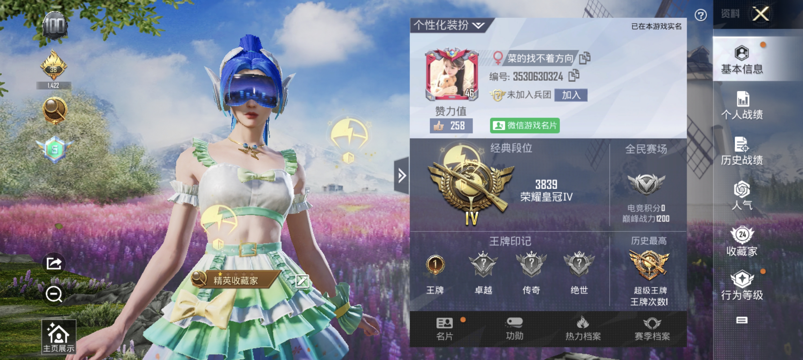 和平精英陪玩服务