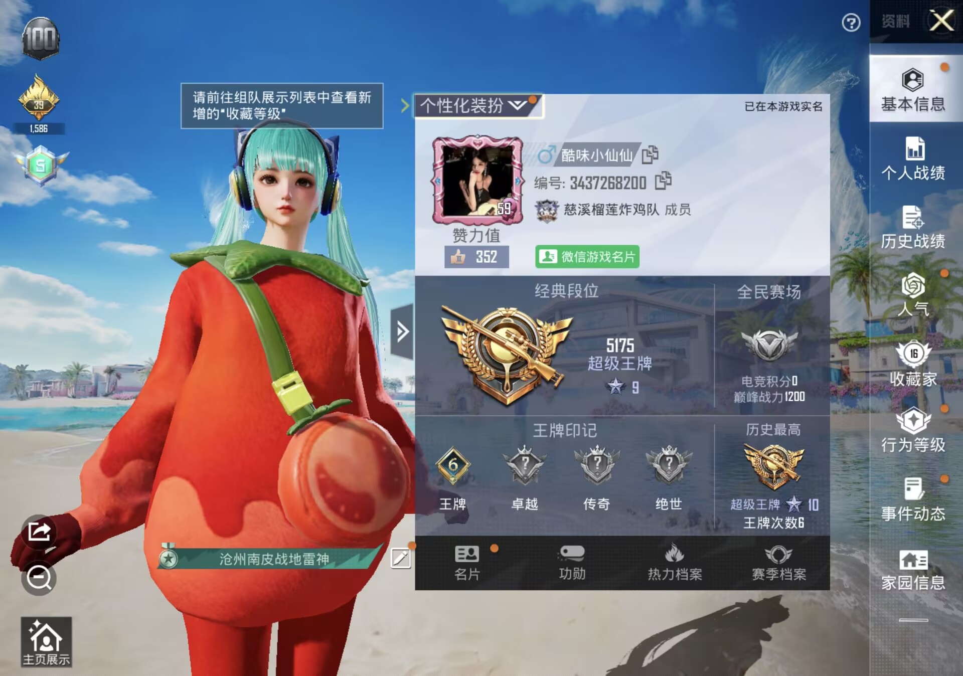 和平精英陪玩服务