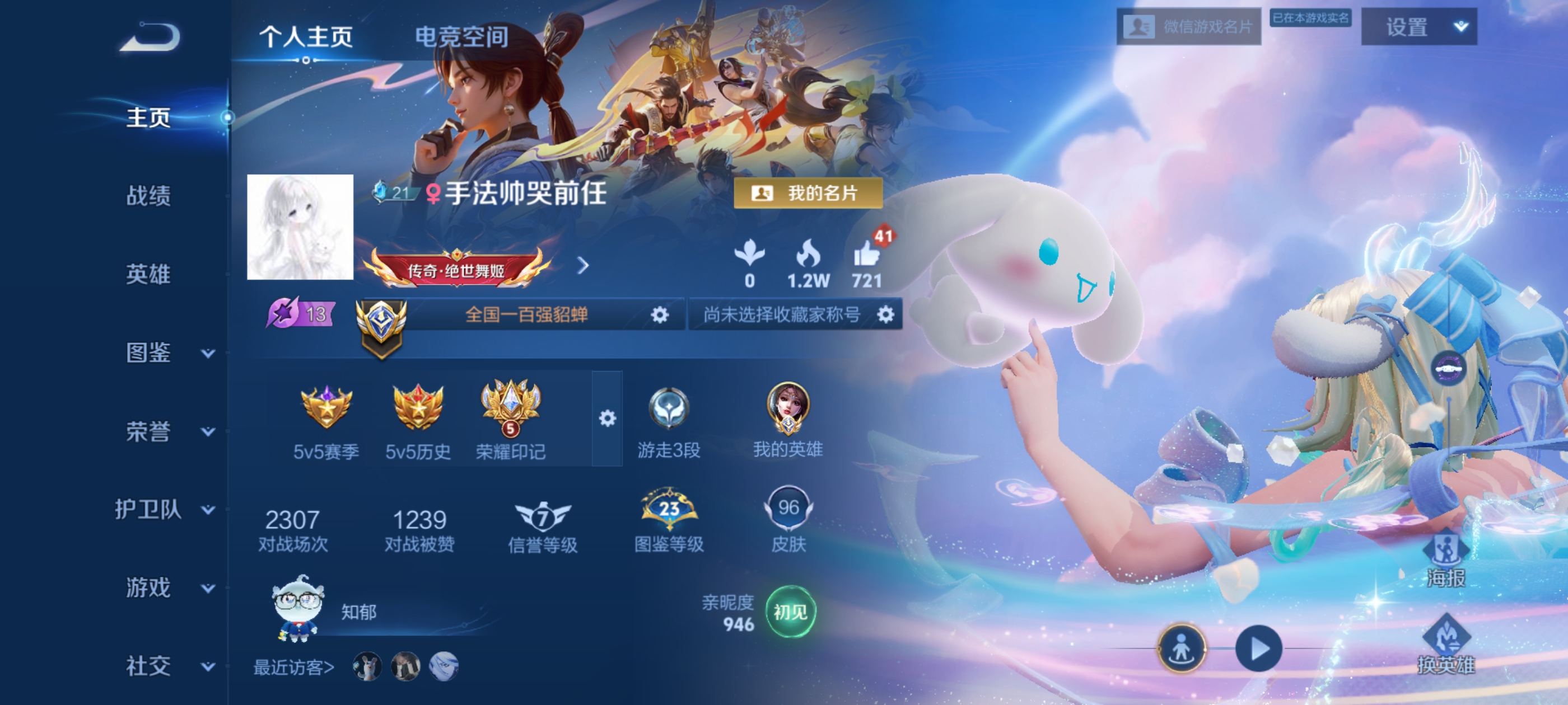 王者荣耀陪玩服务