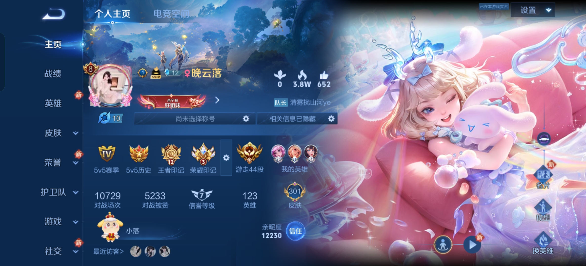 王者荣耀陪玩服务