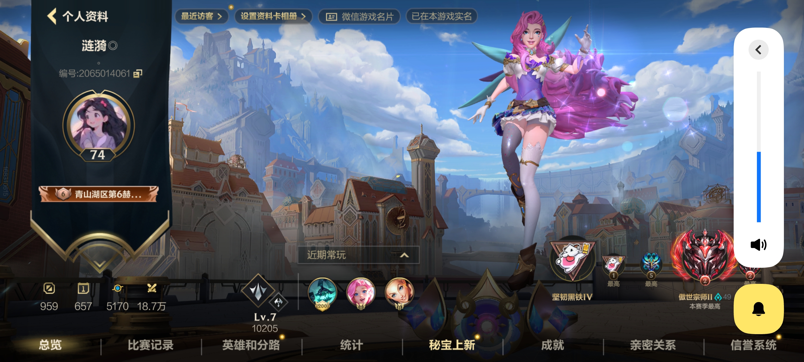 LOL手游陪玩服务