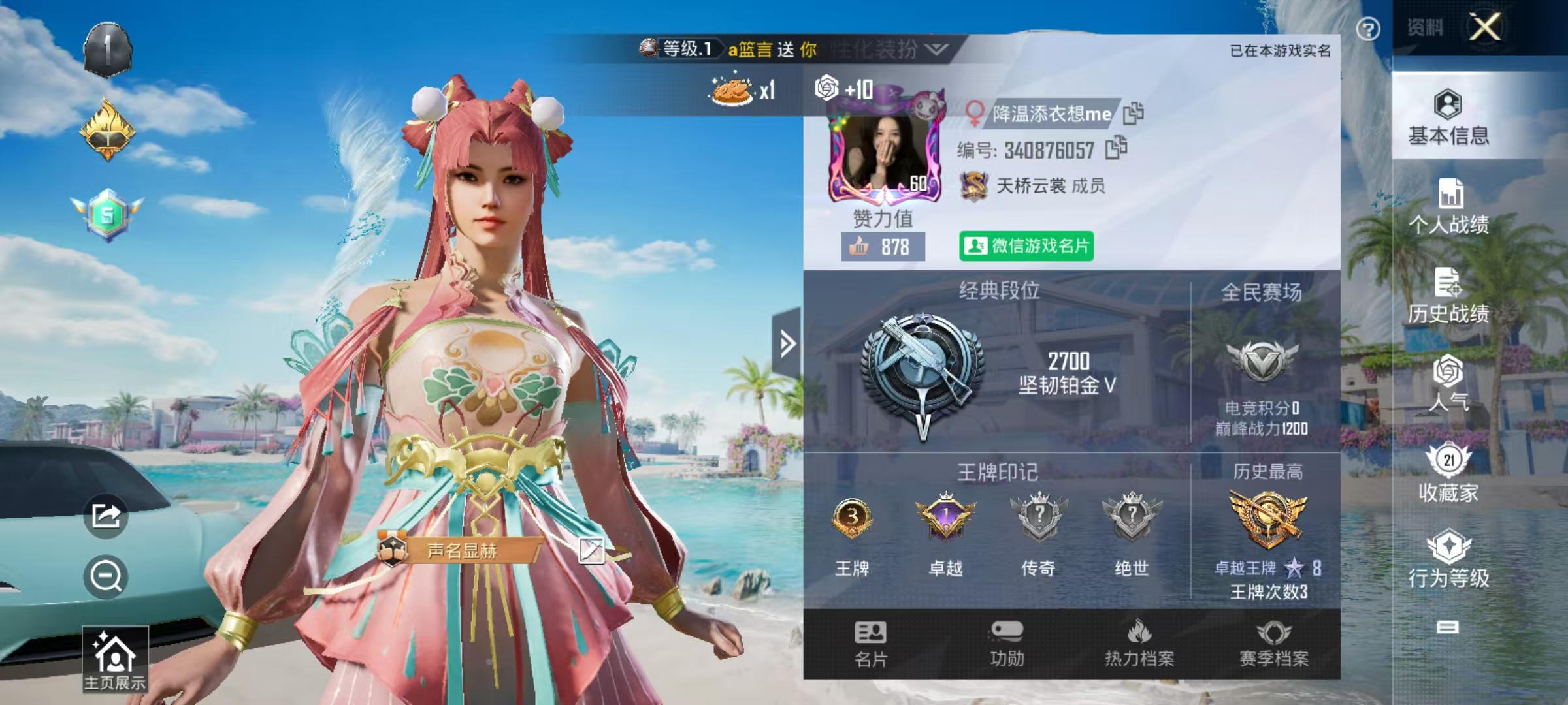 和平精英陪玩服务