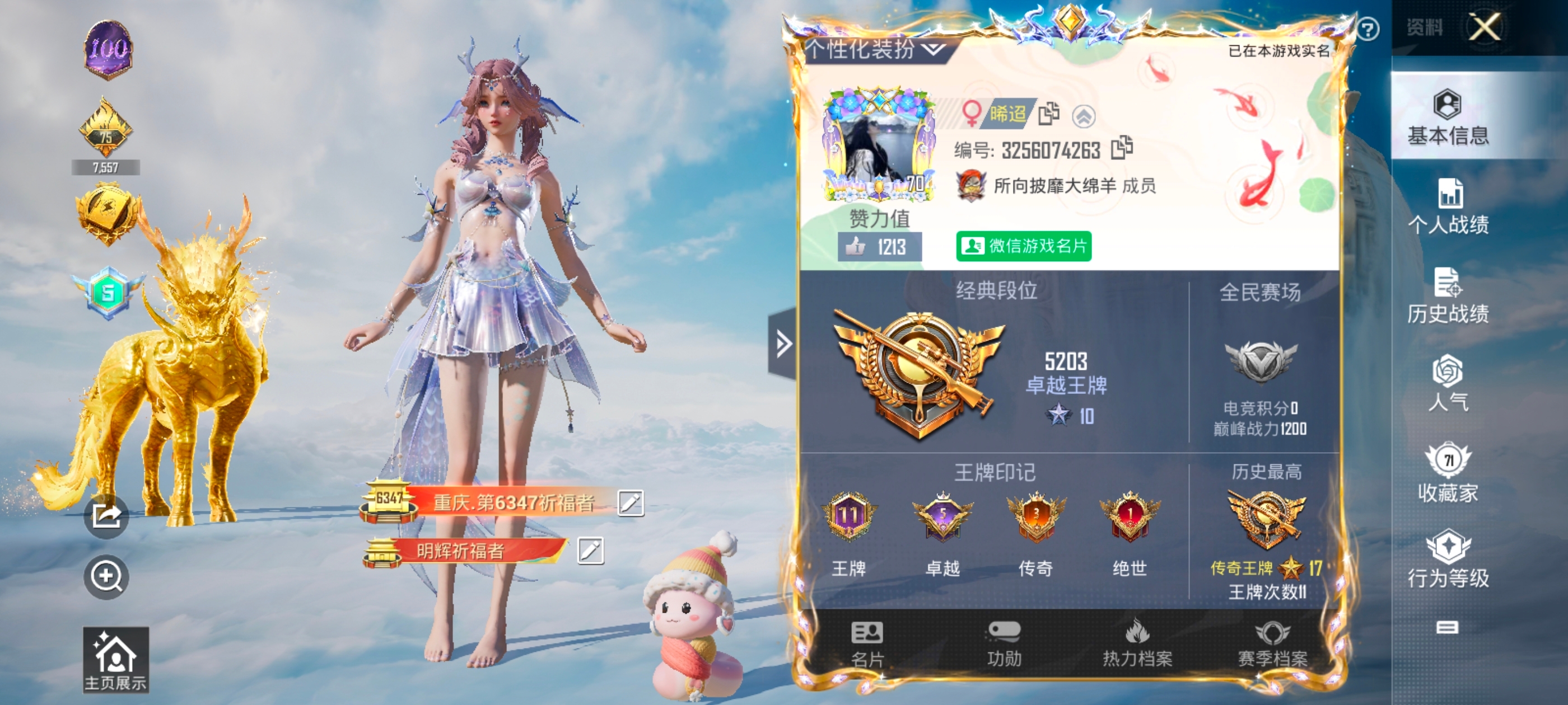 和平精英陪玩服务