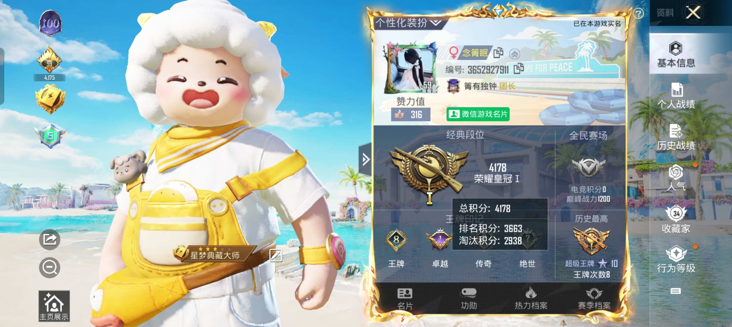 和平精英陪玩服务
