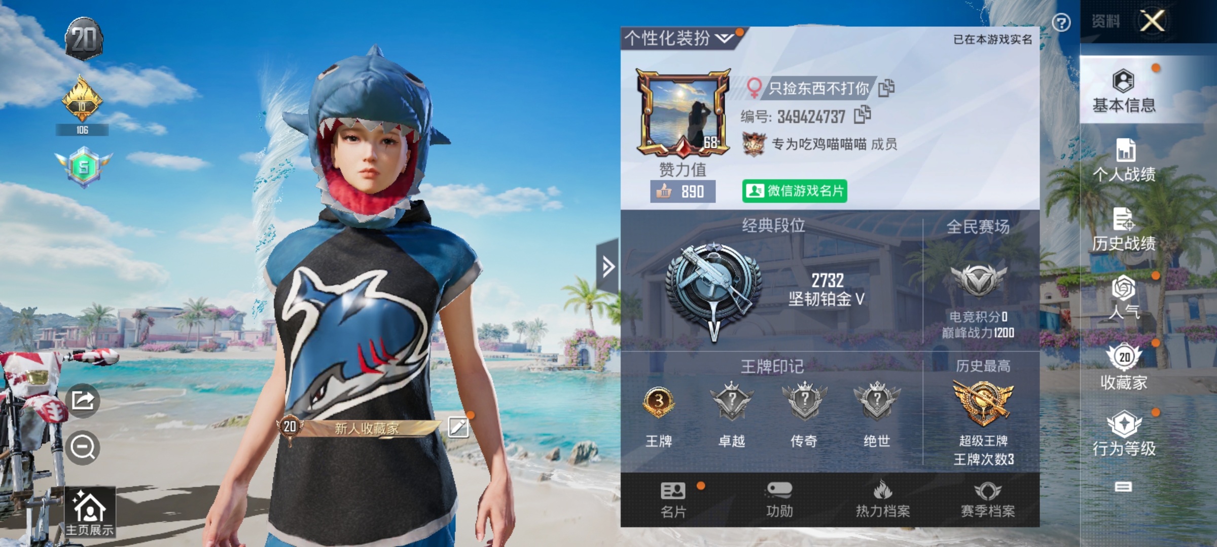 和平精英陪玩服务