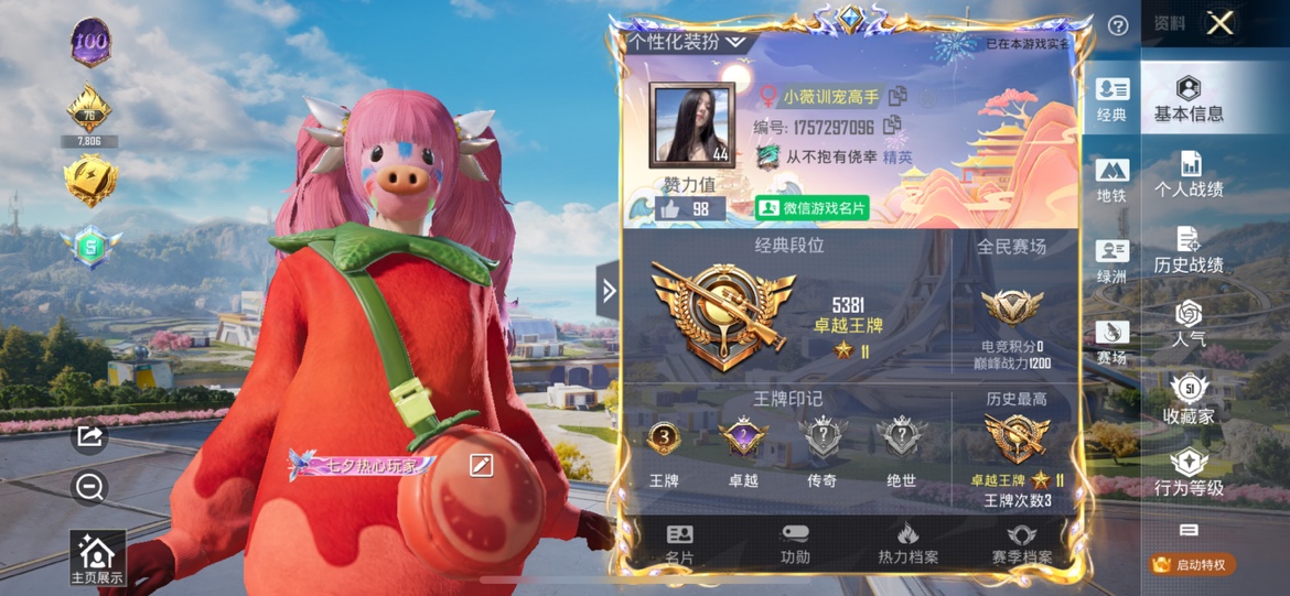 和平精英陪玩服务