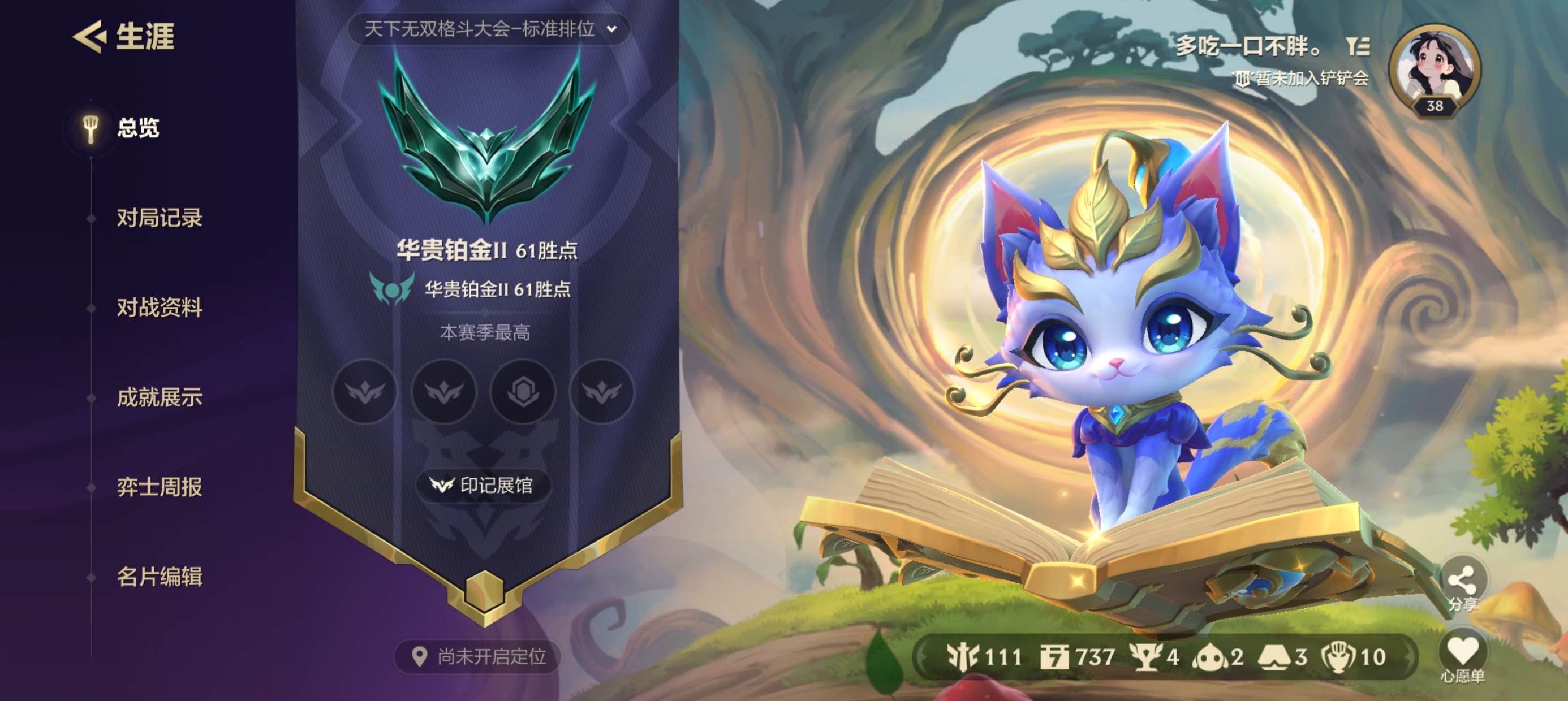 金铲铲之战陪玩服务