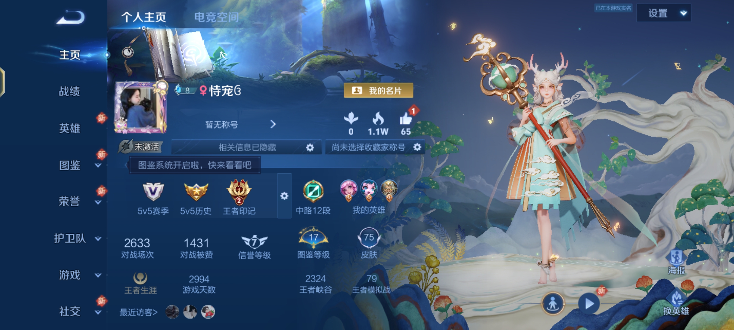 王者荣耀陪玩服务