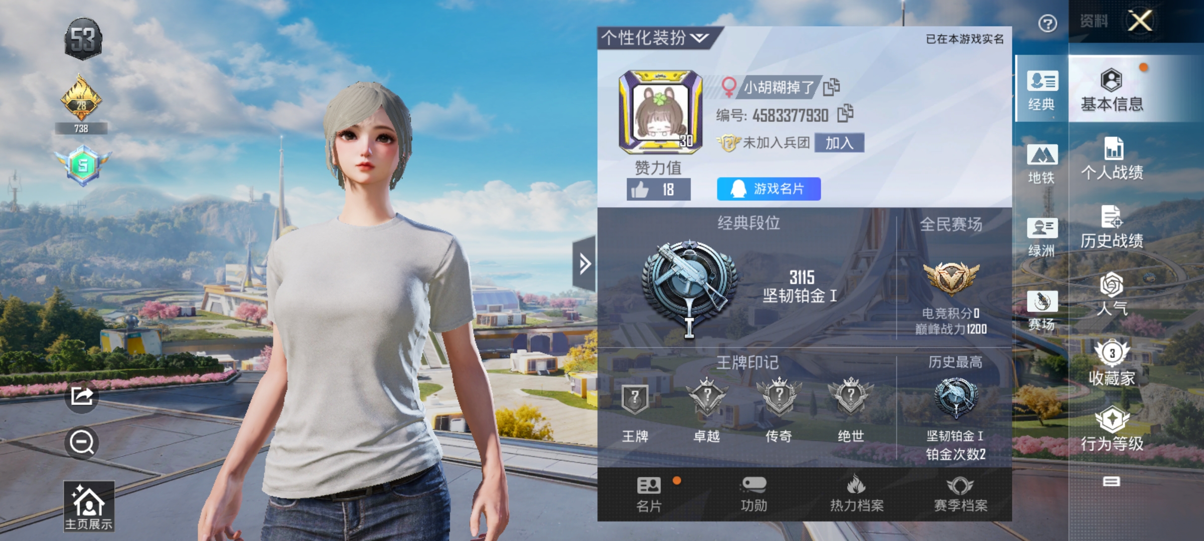 和平精英陪玩服务
