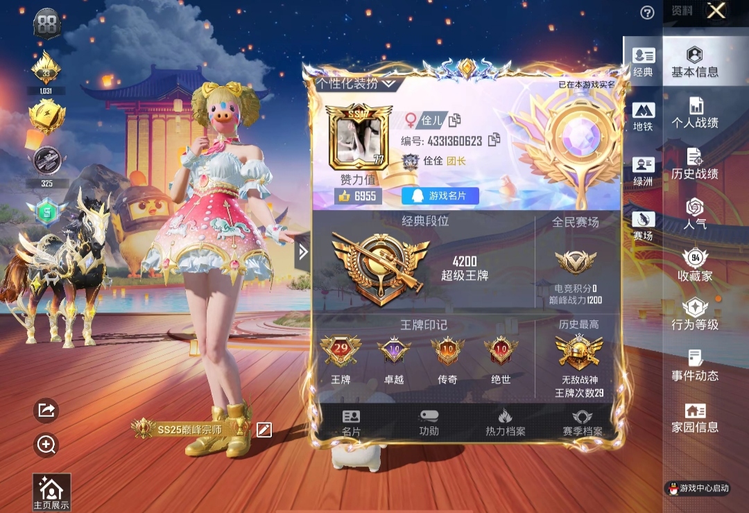 和平精英陪玩服务