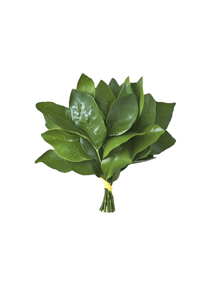 陪玩妹子小加白不拉几版的照片1
