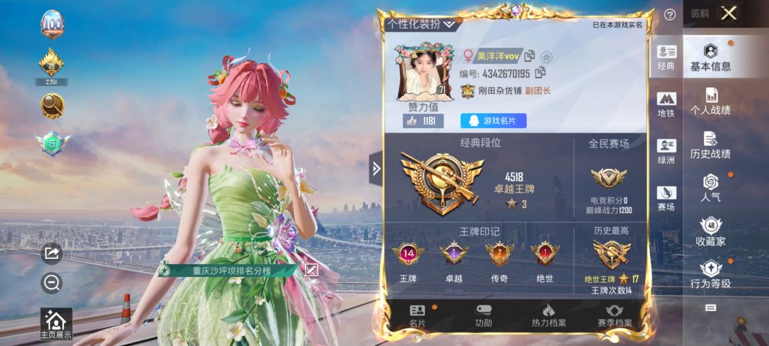 和平精英陪玩服务