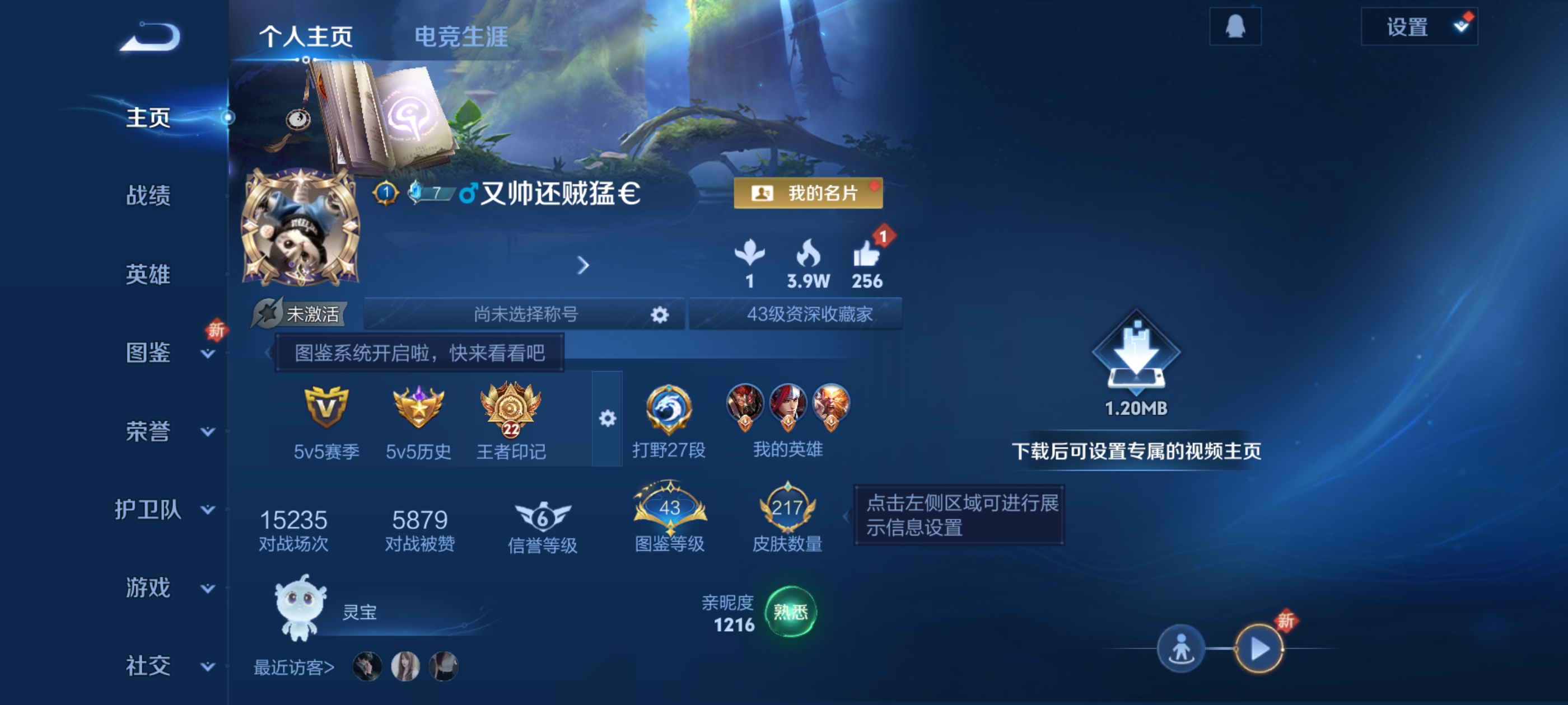 王者荣耀陪玩服务