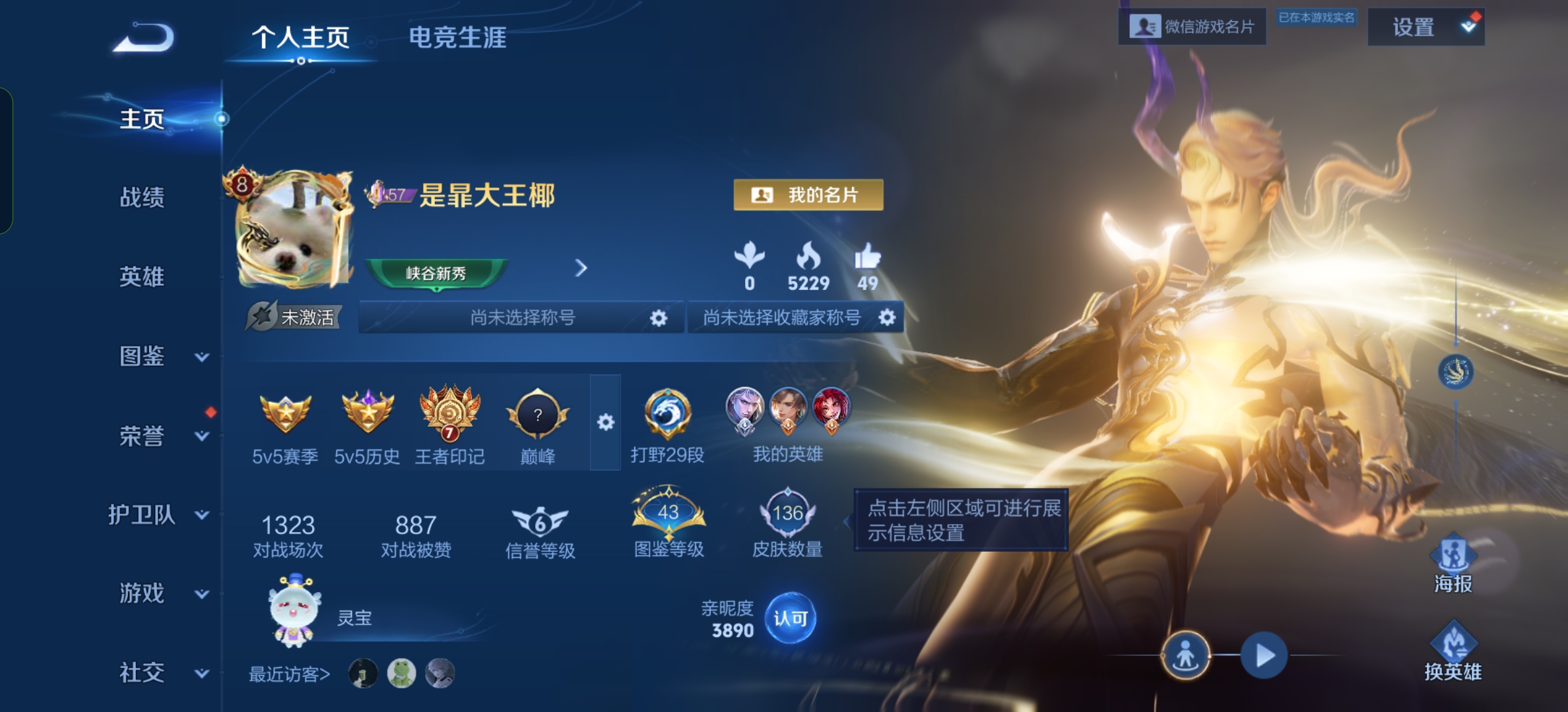 王者荣耀陪玩服务