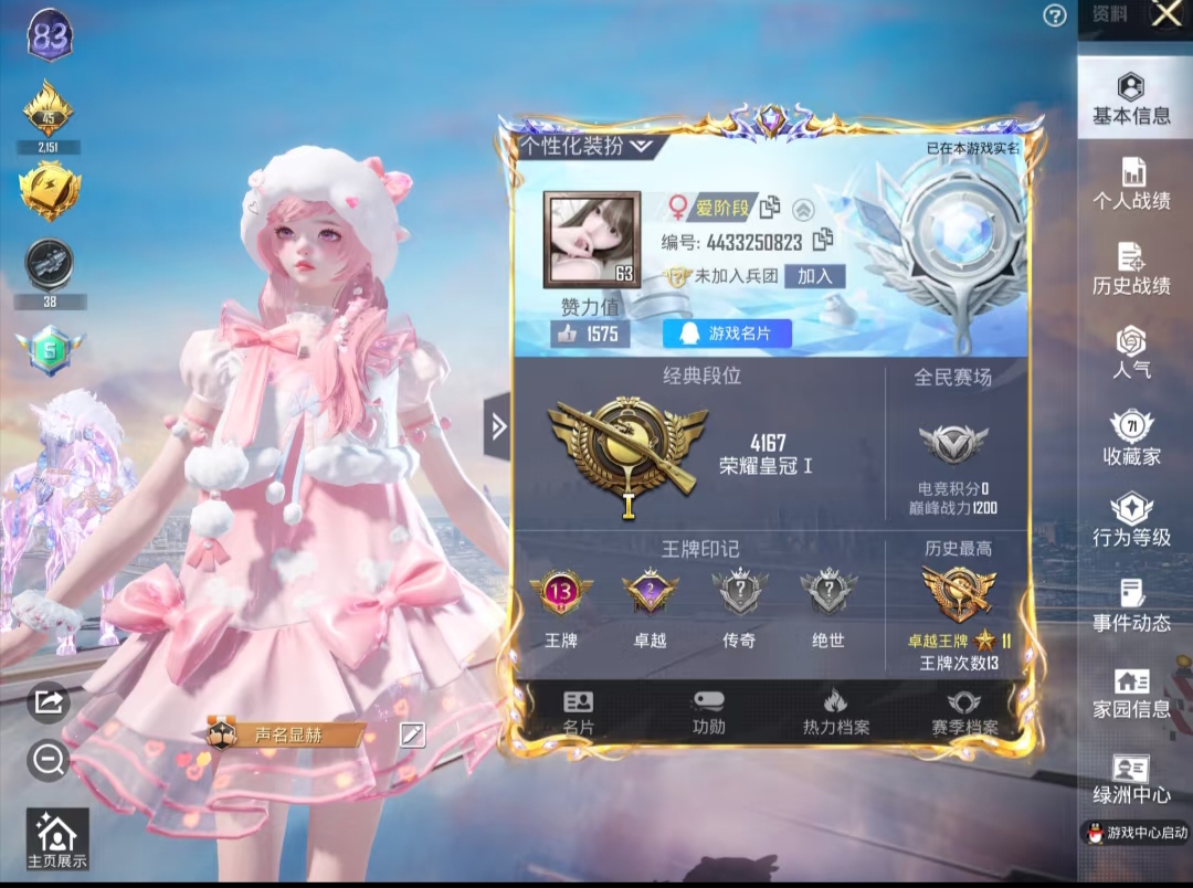 和平精英陪玩服务