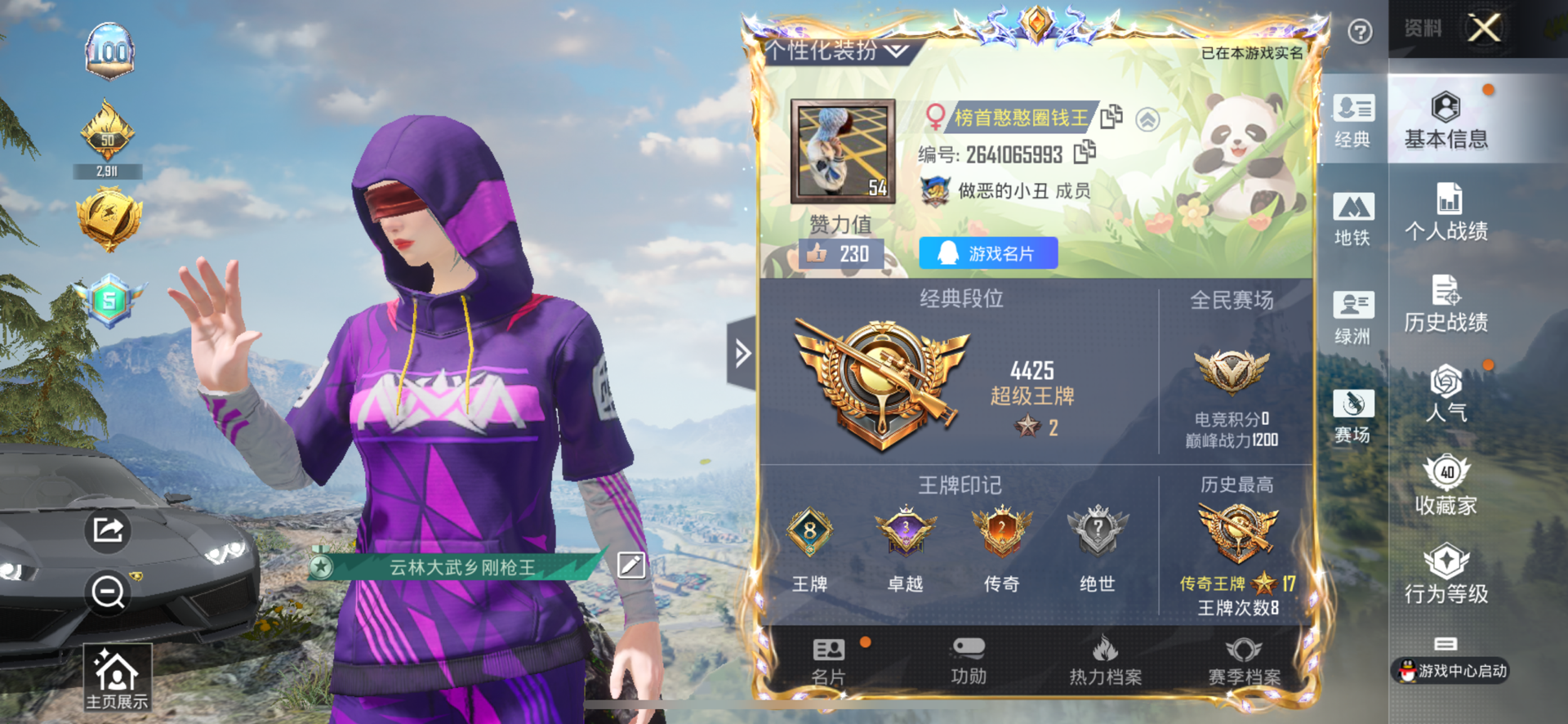 和平精英陪玩服务