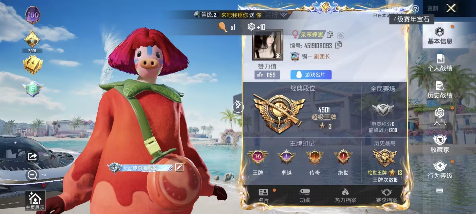 和平精英陪玩服务