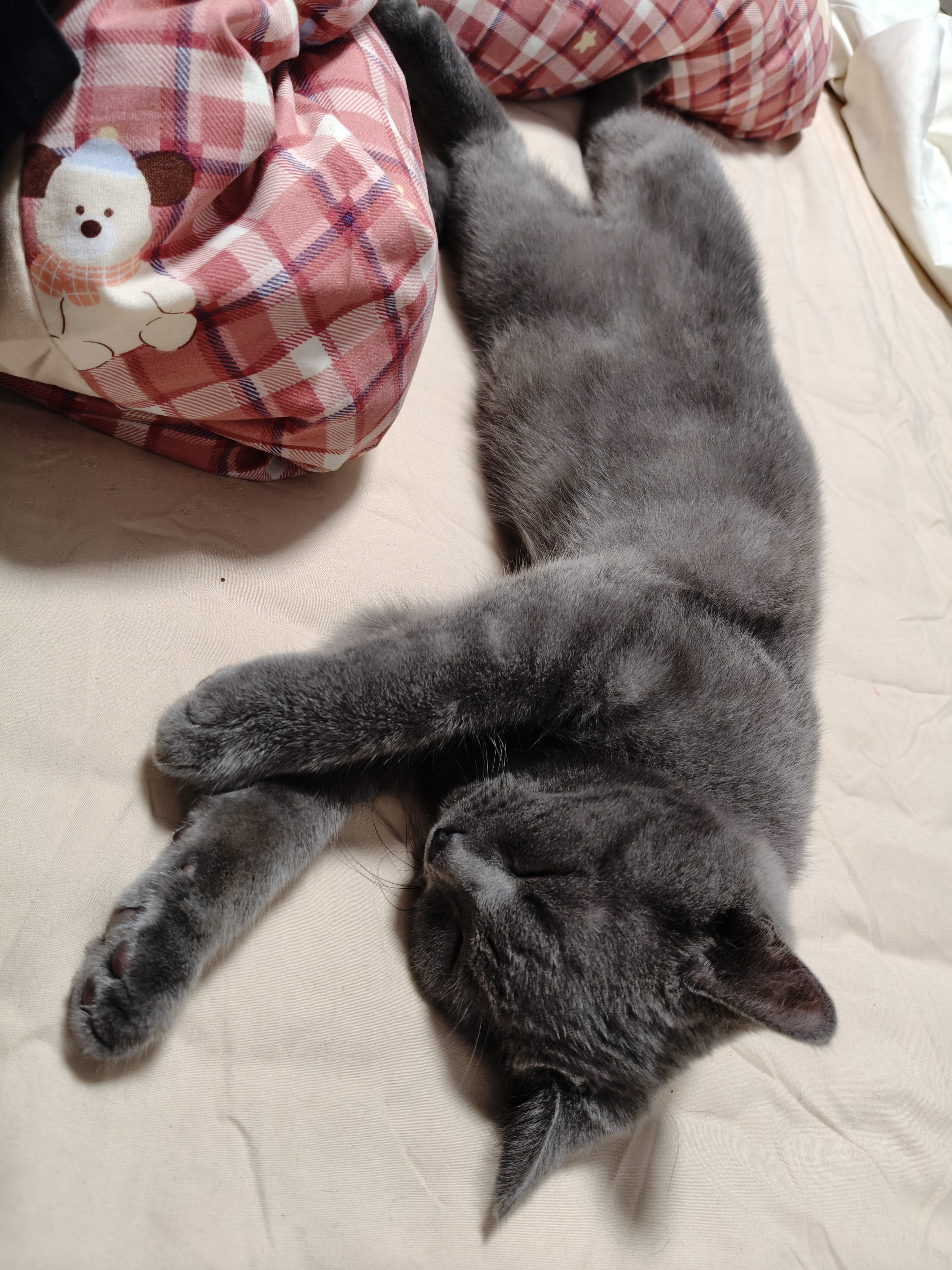 陪玩妹子ℑm晴天电台读文的照片1