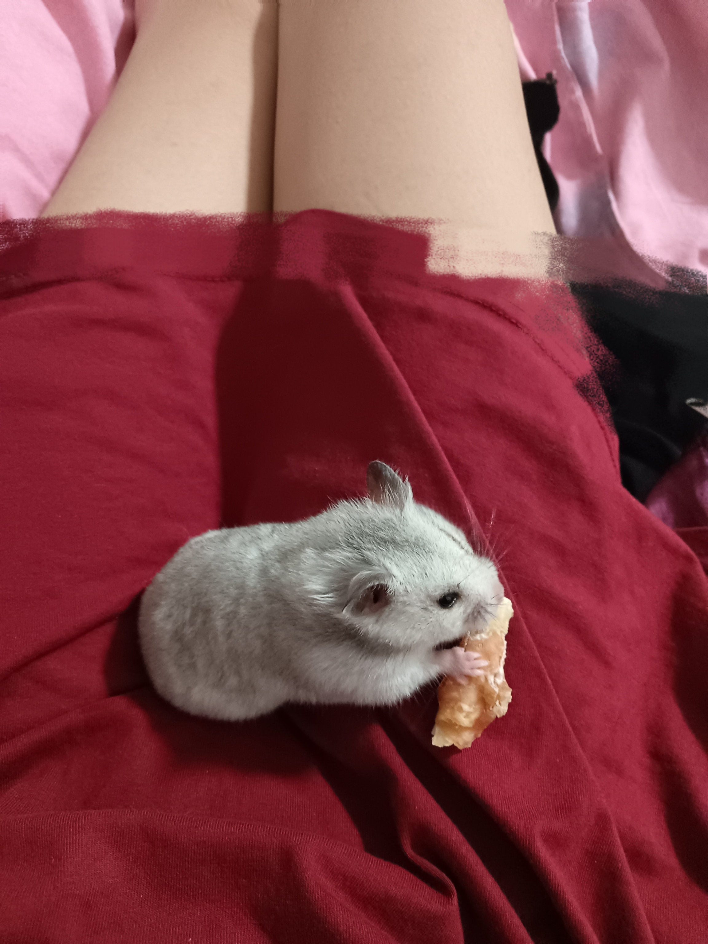 陪玩妹子忆遇୧⍤⃝的照片2